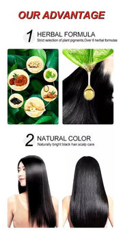 Kaiws Black Hair Colour Shampoo - Unisex, No Ammonia, No Stains