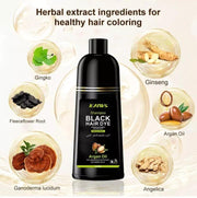 Kaiws Black Hair Colour Shampoo - Unisex, No Ammonia, No Stains